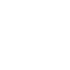 logo-webuild-white-footer@2x